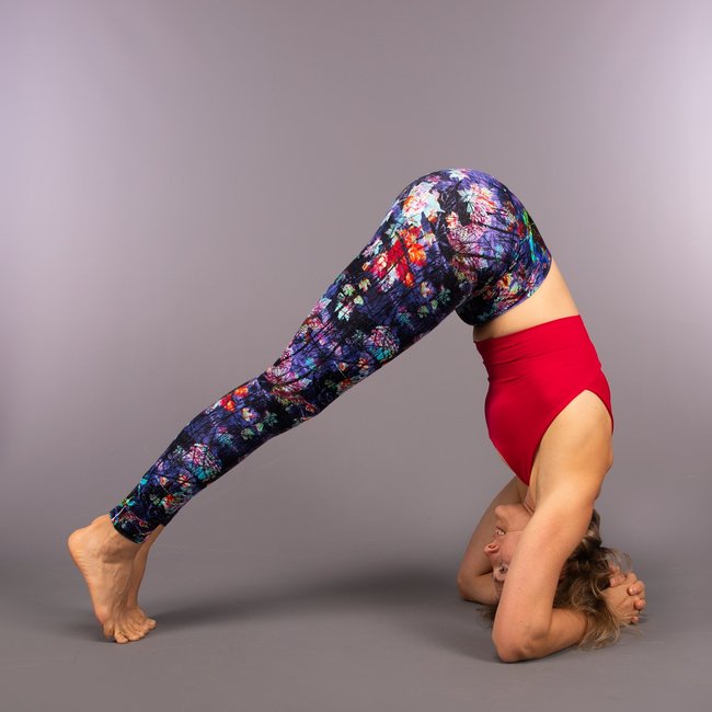 3rd Rock Women's Titan Legging