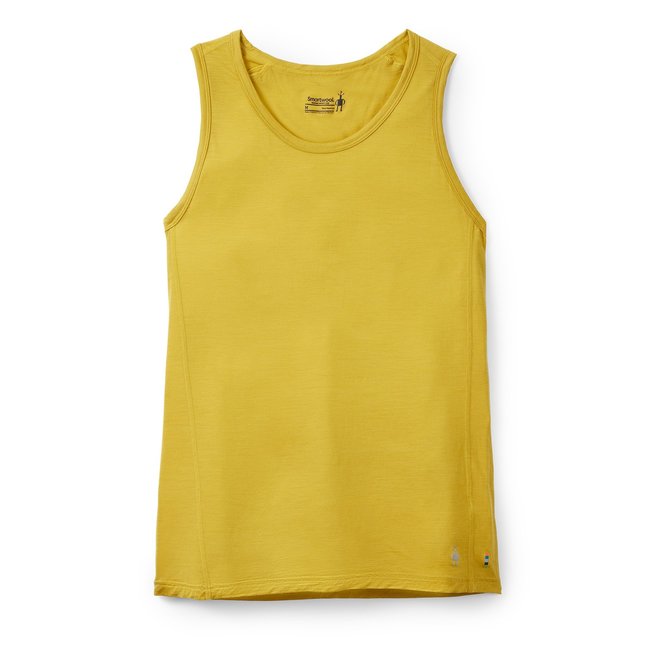 Smartwool Men's Merino Sport 120 Tank