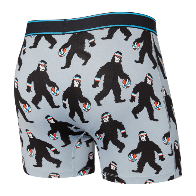 sAXX Daytripper Boxer Brief Fly