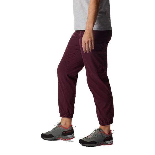 Mountain Hardwear Women's Dynama High Rise Jogger