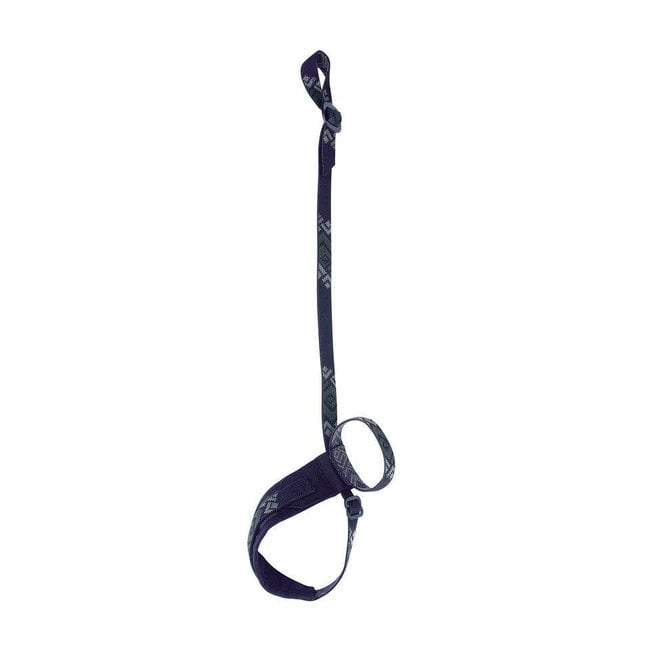 Black Diamond Lockdown Leash