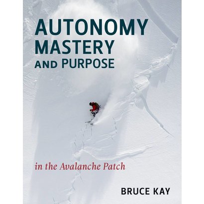 Autonomy, Mastery and Purpose in the Avalanche Patch