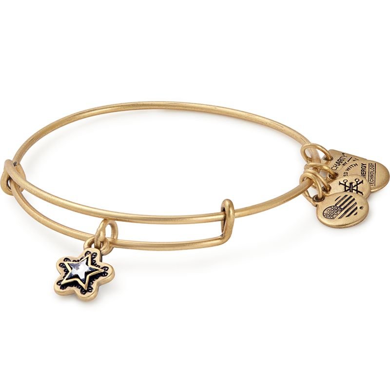 True Wish Charm Bangle - Rafaelian Gold Alex and Ani - CBD17MAWRG B3