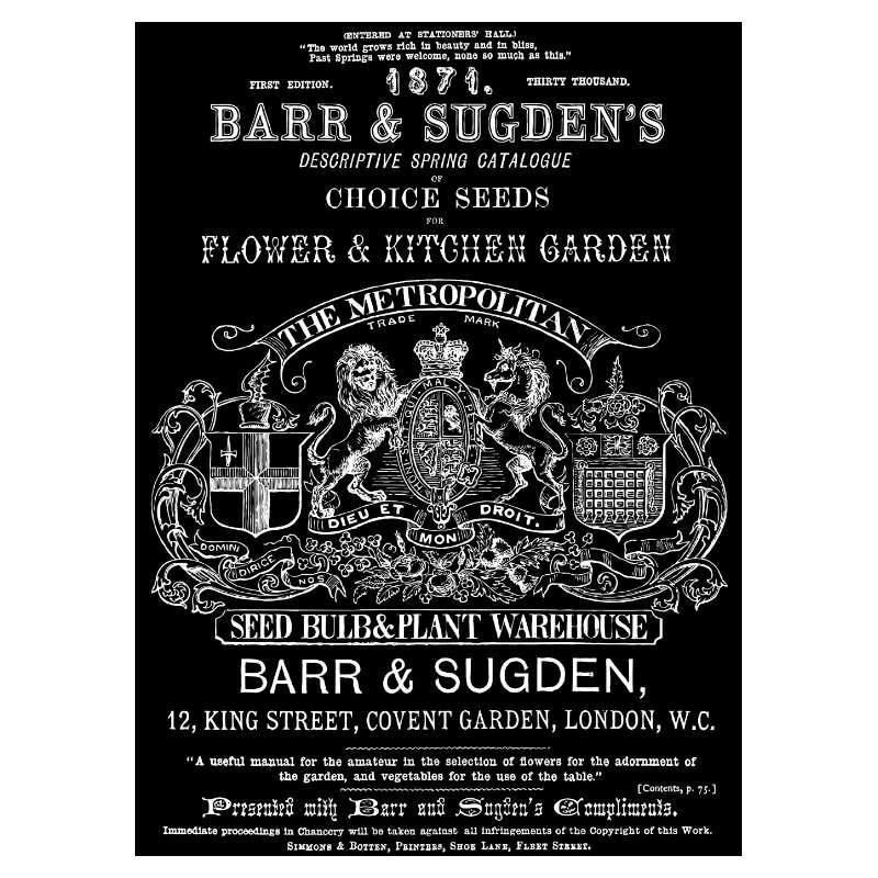 Iron Orchid Designs Barr & Sugden  24"x33" - Decor Image Transfer - DEC-TRA-BAR