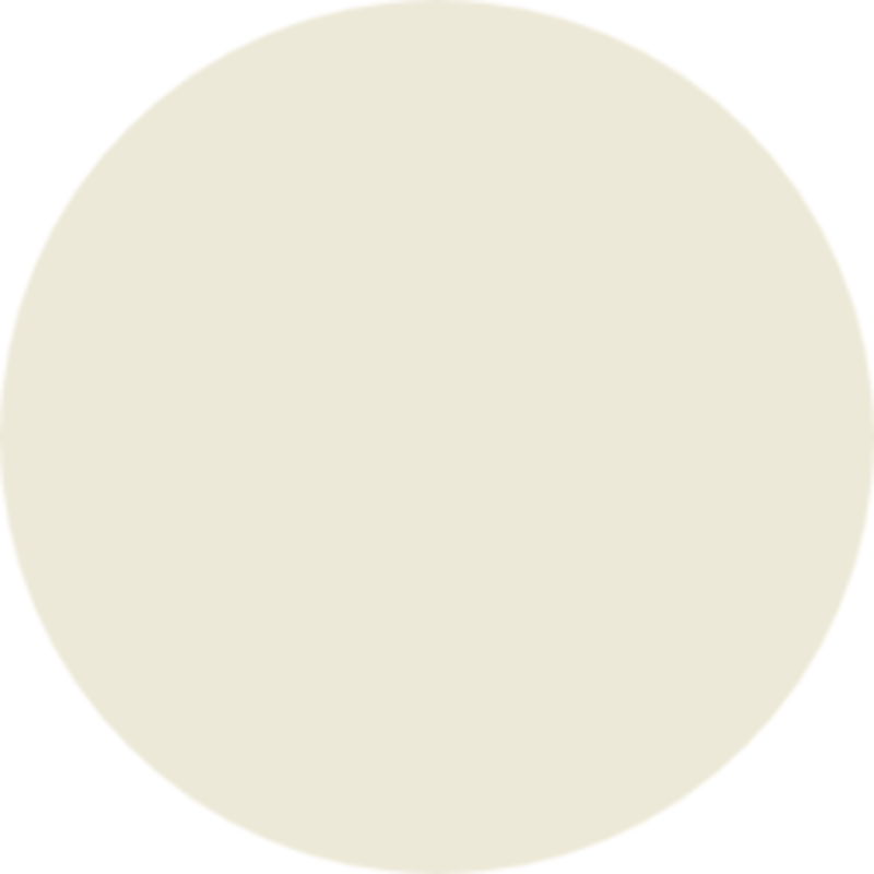 Farrow & Ball Paint James White No. 2010 Exterior Eggshell Gallon Farrow & Ball Paint