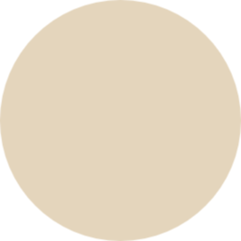 Farrow & Ball Paint Matchstick No. 2013 Exterior Eggshell Gallon Farrow & Ball Paint