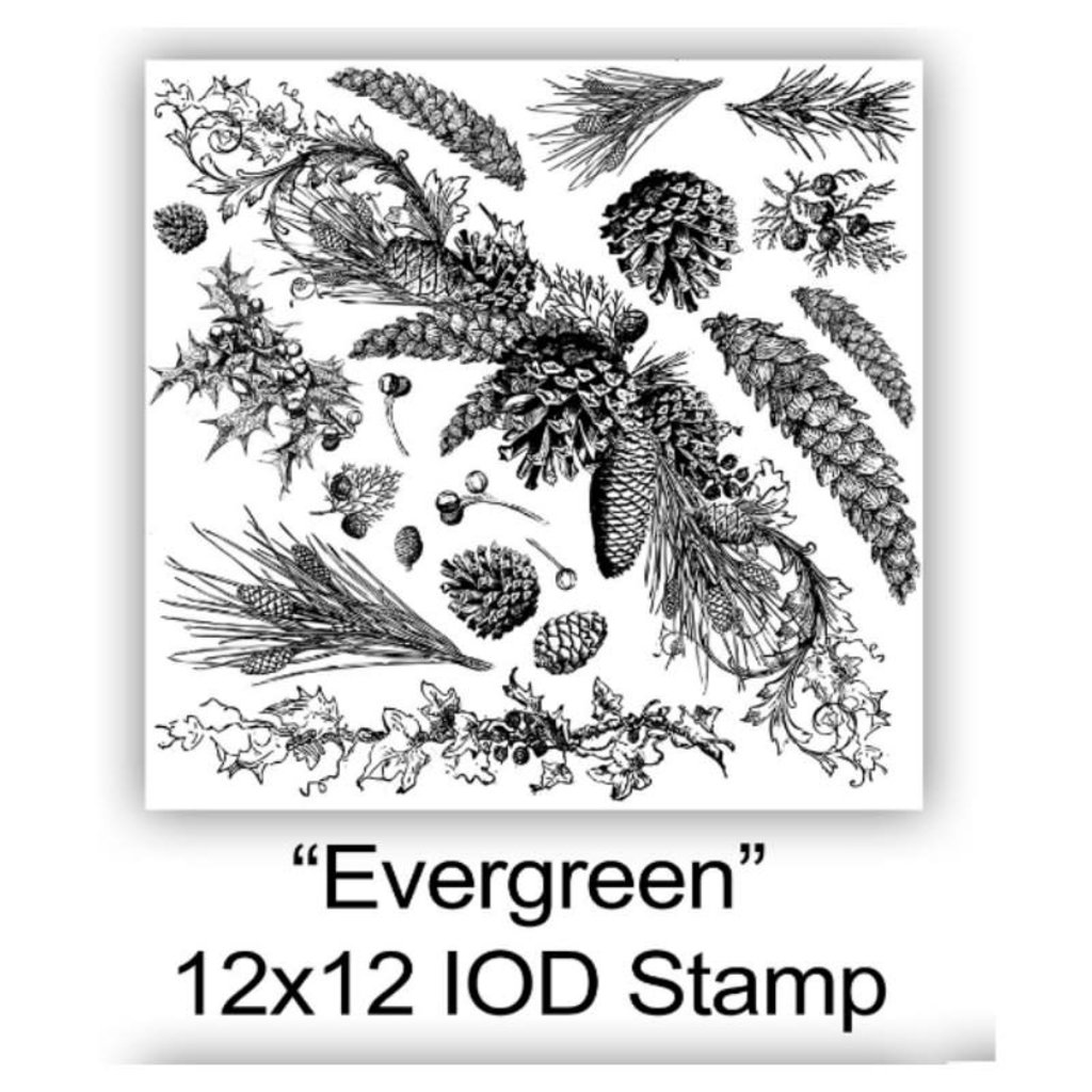 Iron Orchid Designs Iron Orchid Designs - Evergreen Decor Stamp - IOD-STA-EVE