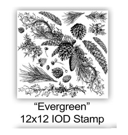 Iron Orchid Designs Iron Orchid Designs - Evergreen Decor Stamp - IOD-STA-EVE