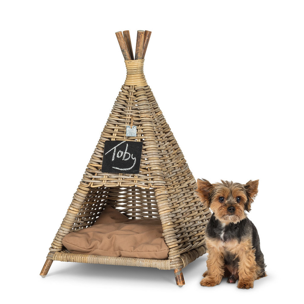 Small Pet Tent with Cushion