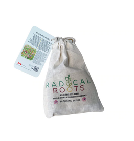 Blooming Blend | Seed Bombs by Radical Roots Package of 6