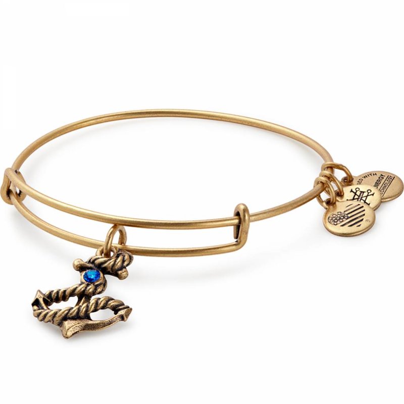 Anchor Charm Bangle - Rafaelian Gold Alex and Ani - A17EB72RG B6