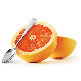  Endurance Grapefruit Spoon