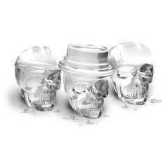 Products tagged with ice molds