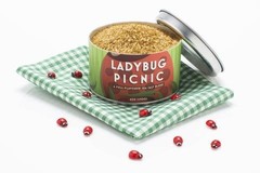 Products tagged with beautiful briny sea salt