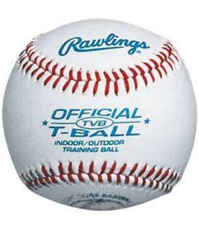 Rawlings Rawlings indoor training balls tball 8.5'' TVB douzaine L