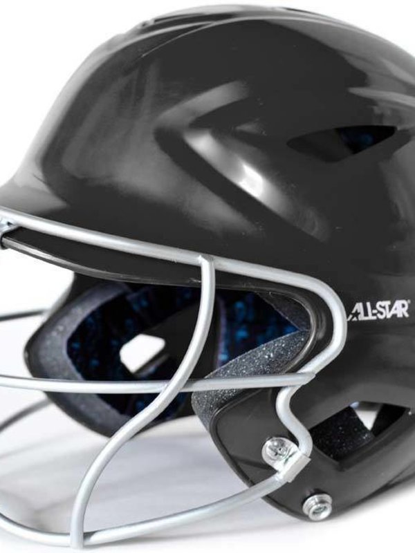 All Star All Star System 7 Helmet Face Guard