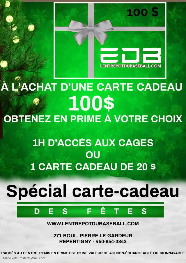 Promotion Carte cadeau des Fêtes