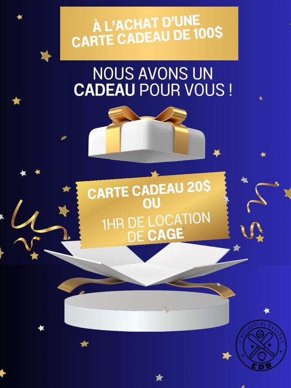 Promotion Carte cadeau des Fêtes