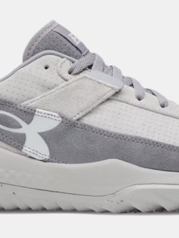 Under Armour Under Armour Harper 10 Pro Turf Men's Baseball Shoes