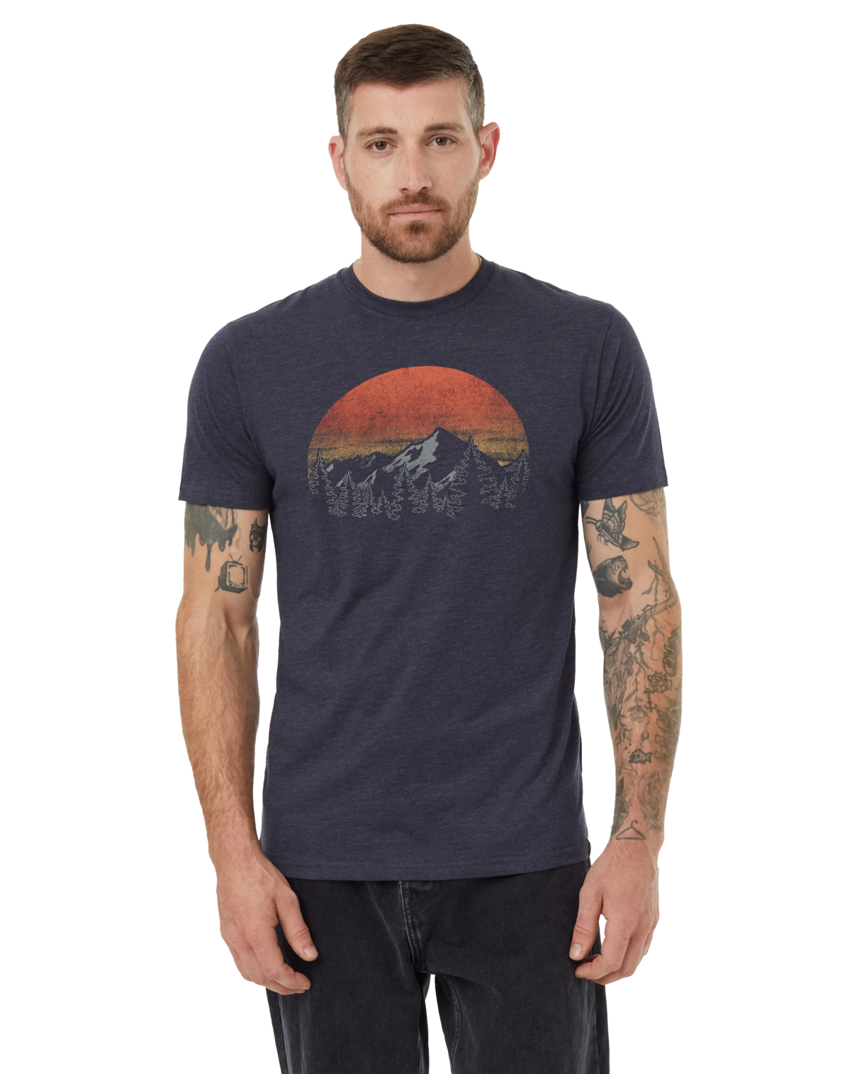 Tentree Clothing Tentree M Vintage Sunset Tee