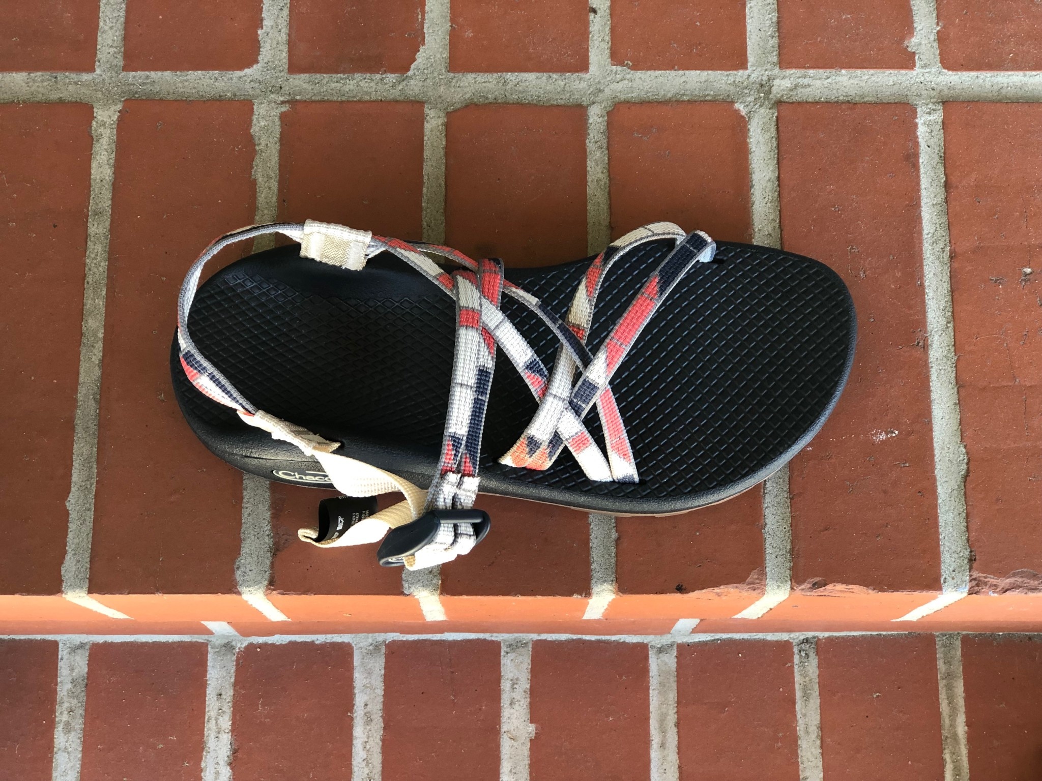 askew angora chacos