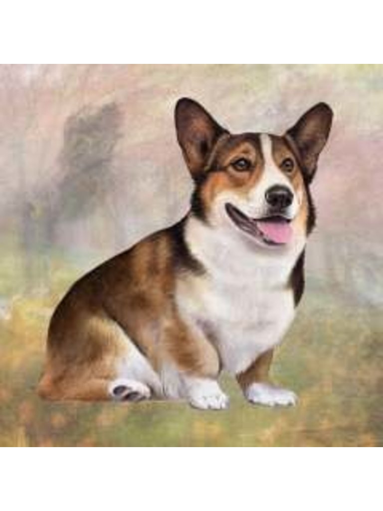 corgi jibbitz