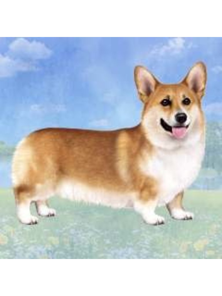 corgi jibbitz