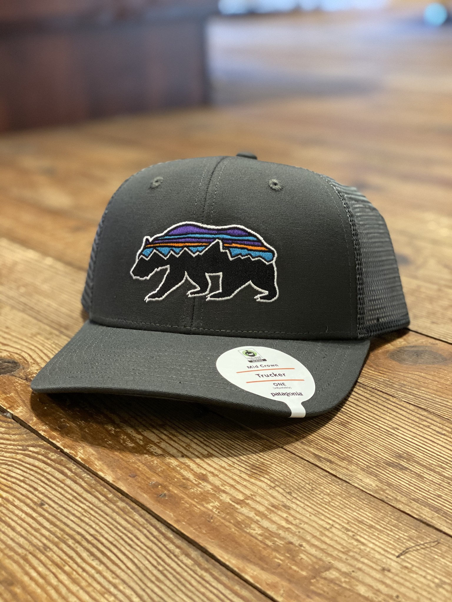 patagonia fitz roy bear trucker