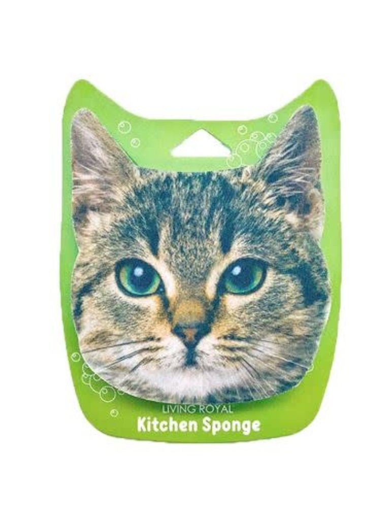 Kitchen Sponge - RISD Store