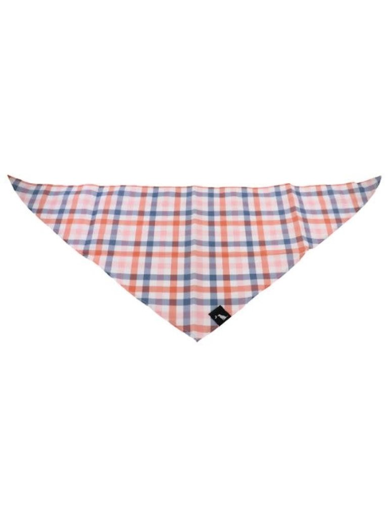 Local Boy Outfitters Dog Bandana Orange/Purple/Pink