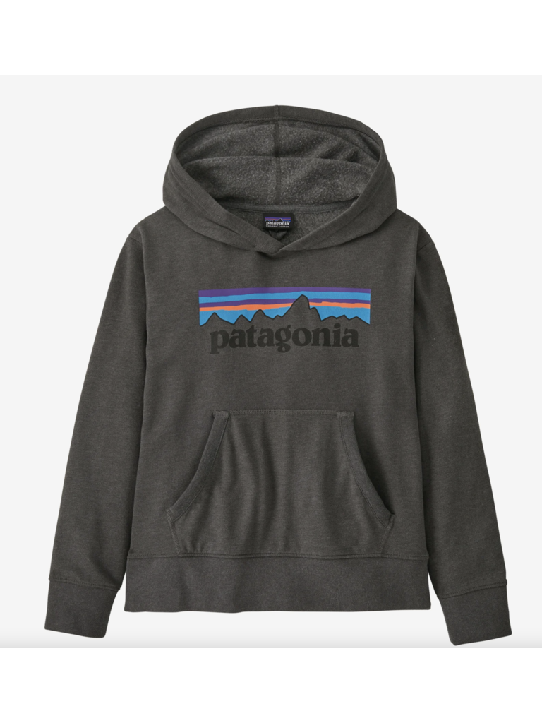 Patagonia Kid's Lightweight Graphic Hoodie