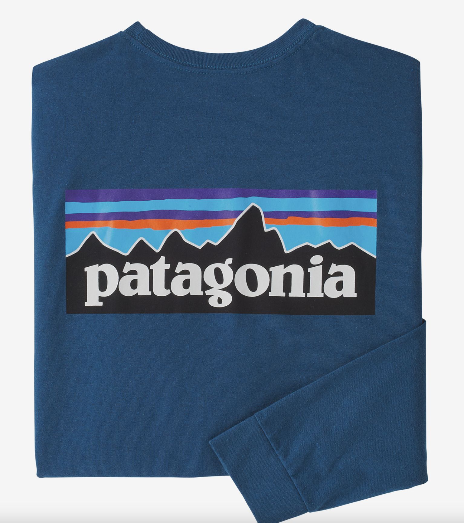 Patagonia Men's L/S P-6 Logo Responsibili-Tee - Papa's General Store