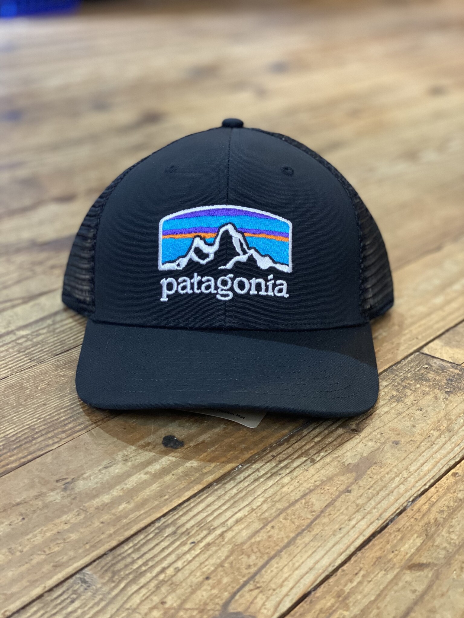 Patagonia Fitz Roy Horizons Trucker Hat Black