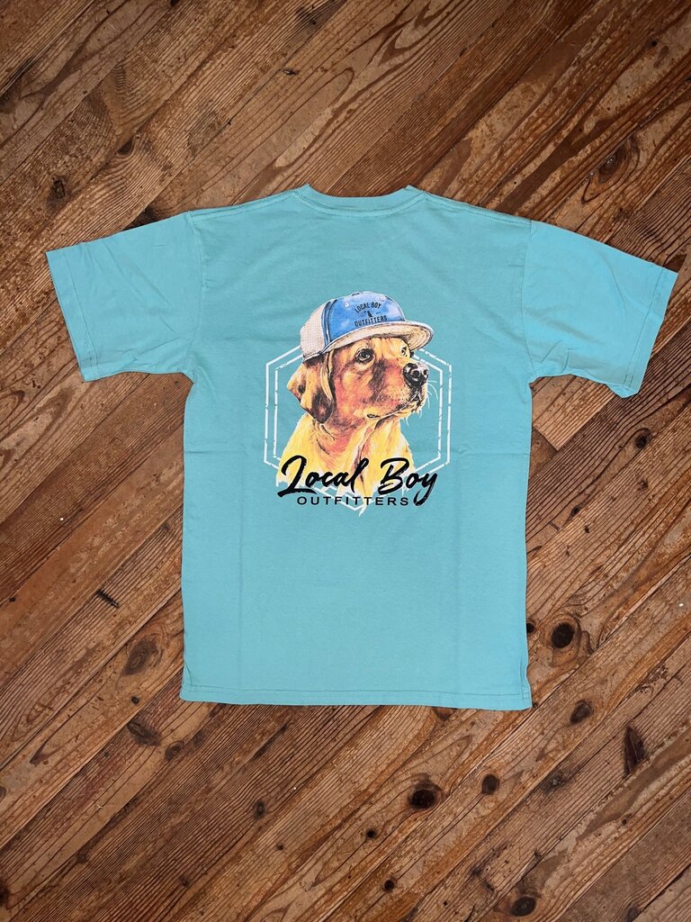 Local Boy Outfitters Local Boy Lab In Hat Seafoam Tee