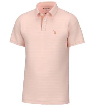 Local Boy Palms Polo