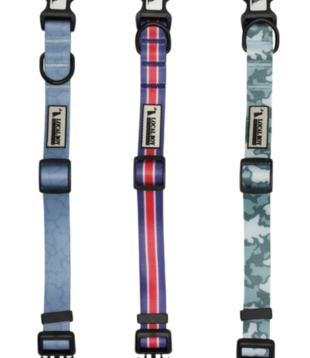 Local Boy Dog Collar