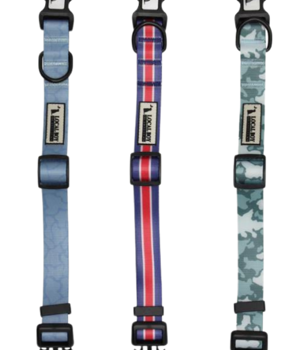 Local Boy Outfitters Local Boy Dog Collar