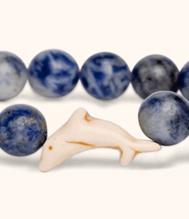 Fahlo The Odyssey Bracelet - Dolphin