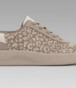 Adyro Prima Women's Sneaker Mocha Brown