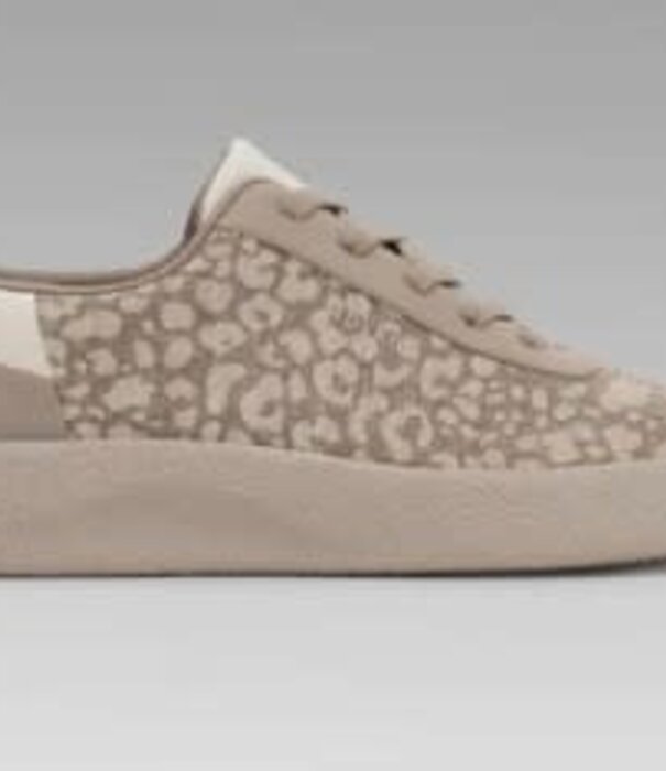 Adyro Adyro Prima Women's Sneaker Mocha Brown