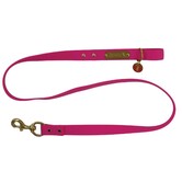 Local Boy Biothane Dog Leash