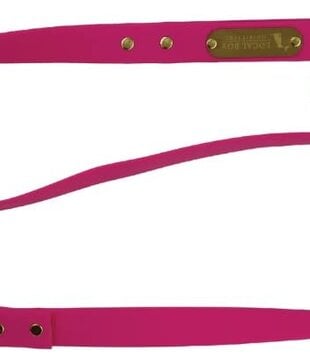 Local Boy Biothane Dog Leash