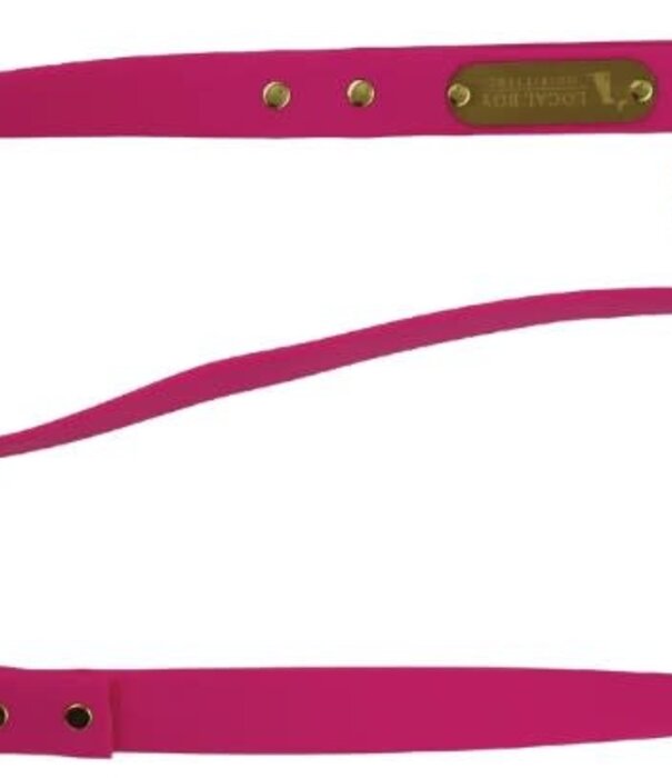 Local Boy Outfitters Local Boy Biothane Dog Leash