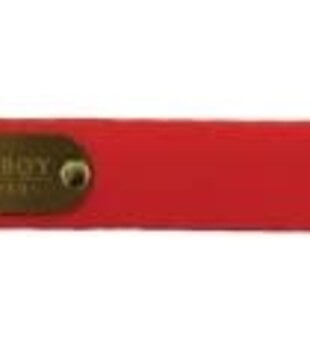 Local Boy Biothane Dog Collar Orange