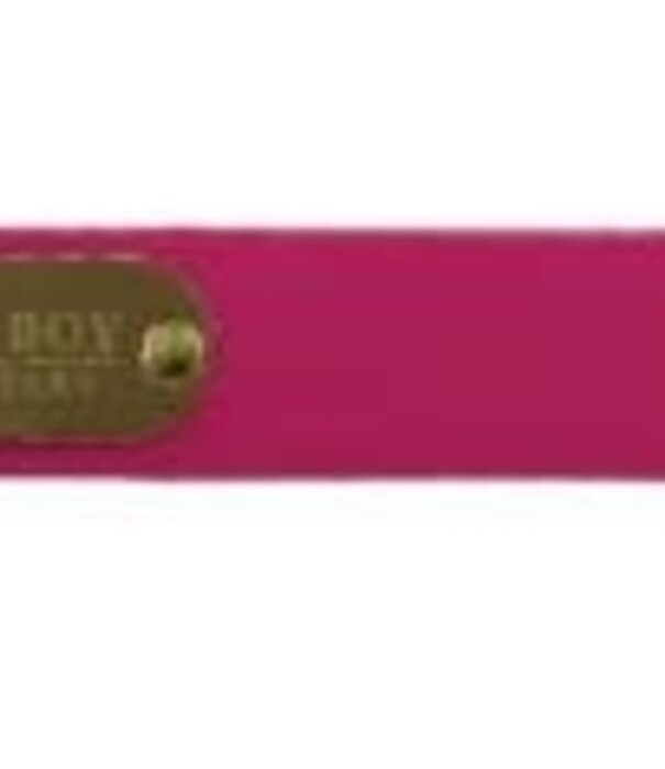 Local Boy Outfitters Local Boy Biothane Dog Collar Pink