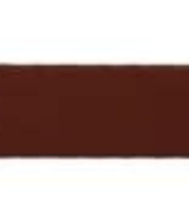 Local Boy Outfitters Local Boy Biothane Dog Collar Brown