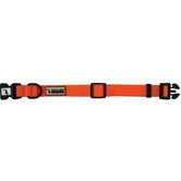 Local Boy Dog Collar Neon Orange