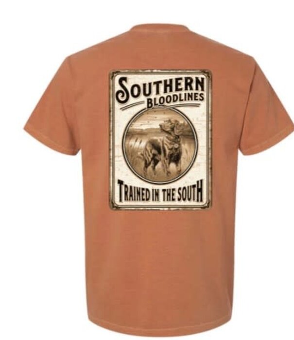 Southern Bloodlines Trained In The South