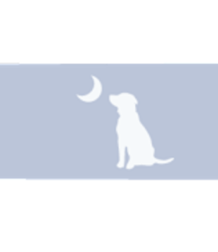 Local Girl Periwinkle Long Lanyard