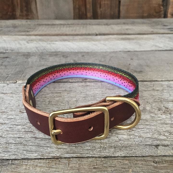 Adjustable Webbing Dog Collars – Whiskey Leatherworks
